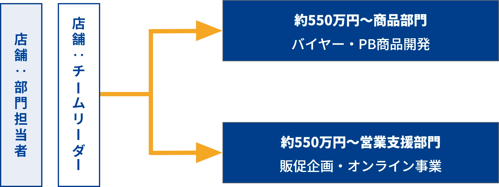 店舗の部門担当者、チームリーダーの次は2つのルートに分かれる。1つ目は商品部門 バイヤー・PB商品開発（約550万円～）、2つ目は営業支援部門　販促企画・オンライン事業（約550万円～）。これを表した図。